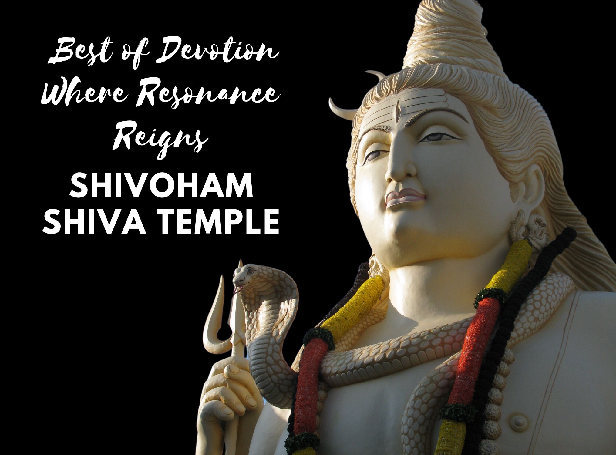 You are currently viewing Shivoham Shiva Temple: Experience 12 Best of Devotion Where Resonance Reigns