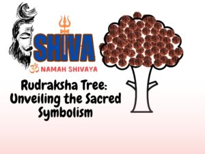 Rudraksha Tree: Unveiling the 11 Positive Sacred Symbolism