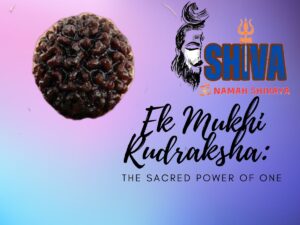 Ek Mukhi Rudraksha: The Sacred Power of One